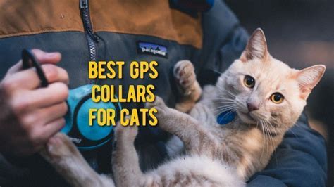 top rated cat tracker